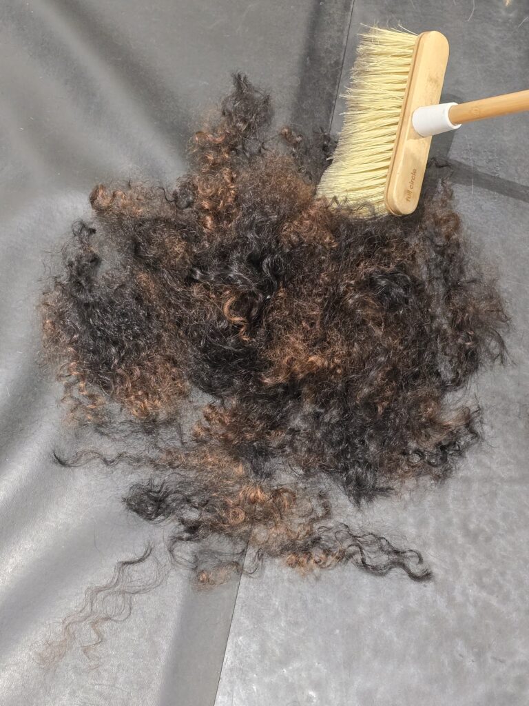 Pile of curly hair on the floor next to a comb, freshly cut during the big chop.