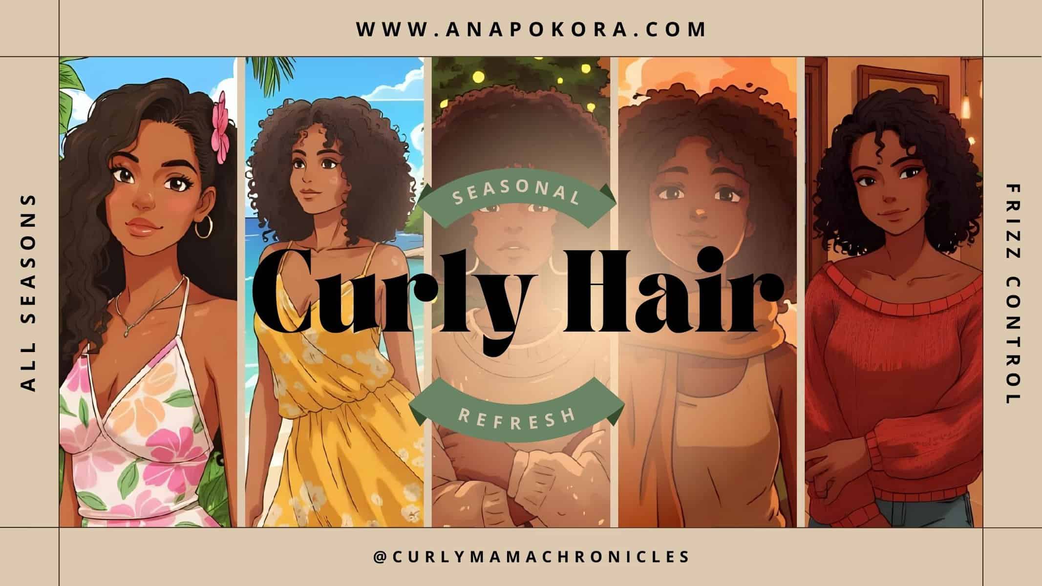 Illustrated banner showing a brown-skinned young woman with long curly hair styled for all four seasons — spring, summer, fall, and winter — wearing seasonal outfits. Text reads 'Seasonal Curly Hair Refresh' with the tagline 'All Seasons, Frizz Control' and website URL www.anapokora.com.