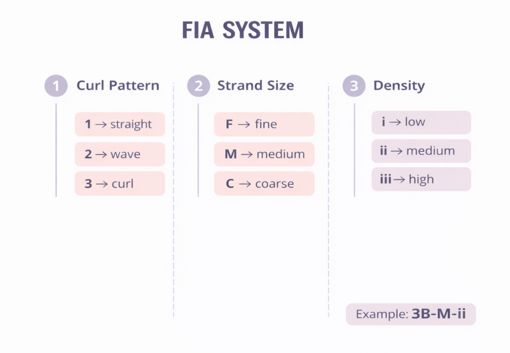 FIA Hair Typing System infographic showing three classification categories: curl pattern (1 straight, 2 wavy, 3 curly), strand size (F fine, M medium, C coarse), and density (i low, ii medium, iii high), with an example classification of 3B-M-ii.